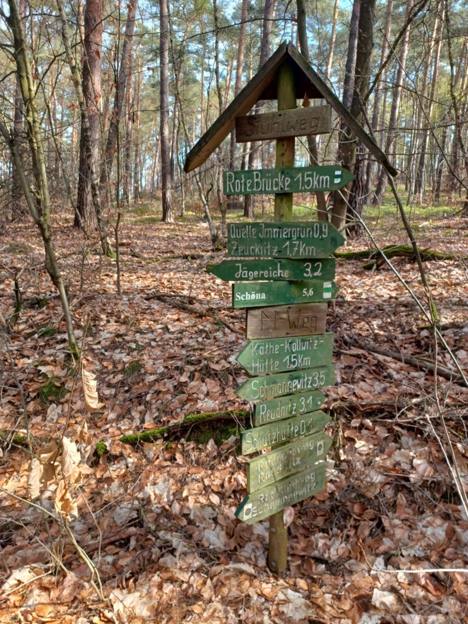 Waldblick Villa Cavertitz Екстериор снимка
